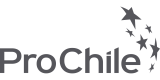 Logo-ProChile-Gris